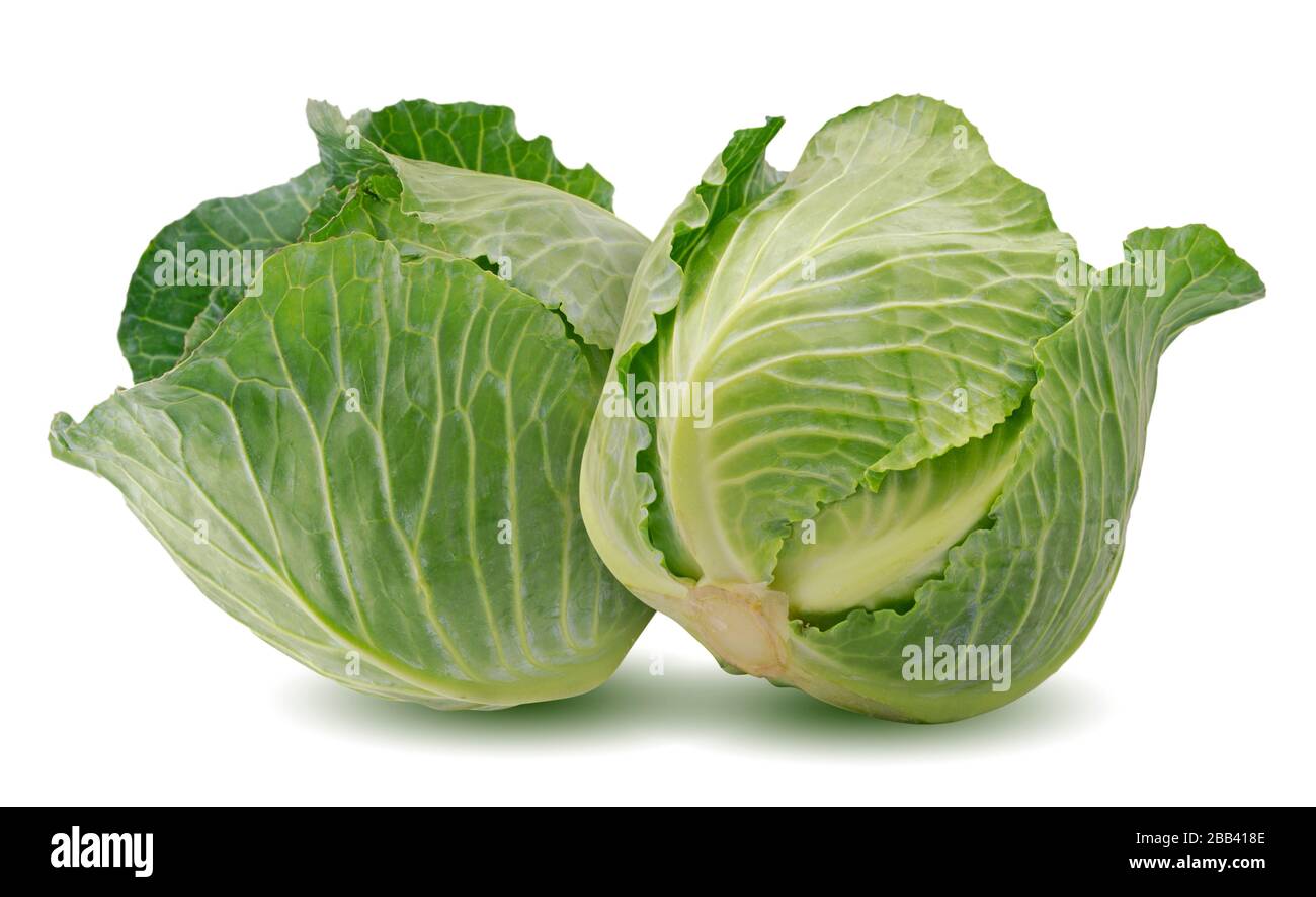 Chou vert isolé sur fond blanc Banque D'Images