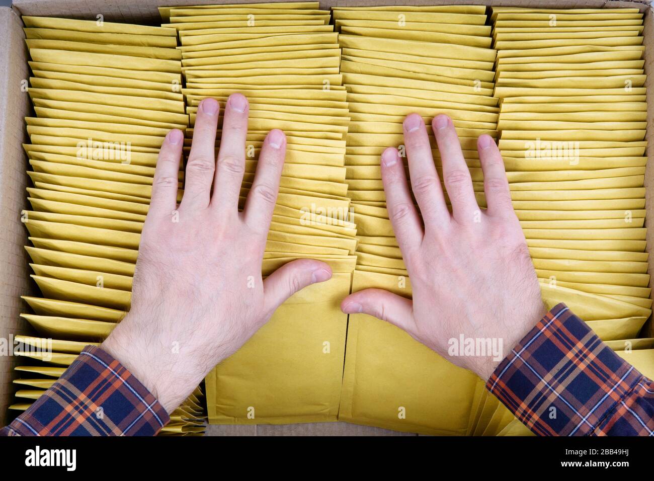 Mains mâles pour l'emballage d'enveloppes jaunes à bulles pour l'expédition. Vue de dessus sur quatre rangées de mailers rembourrés à l'intérieur d'une boîte en carton Banque D'Images