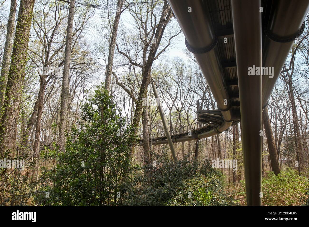 Sous un sentier pédestre au jardin botanique d'Atlanta, Atlanta, Géorgie, États-Unis Banque D'Images