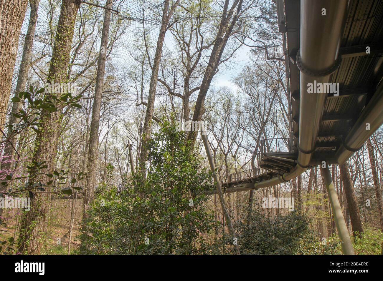 Sous un sentier pédestre au jardin botanique d'Atlanta, Atlanta, Géorgie, États-Unis Banque D'Images