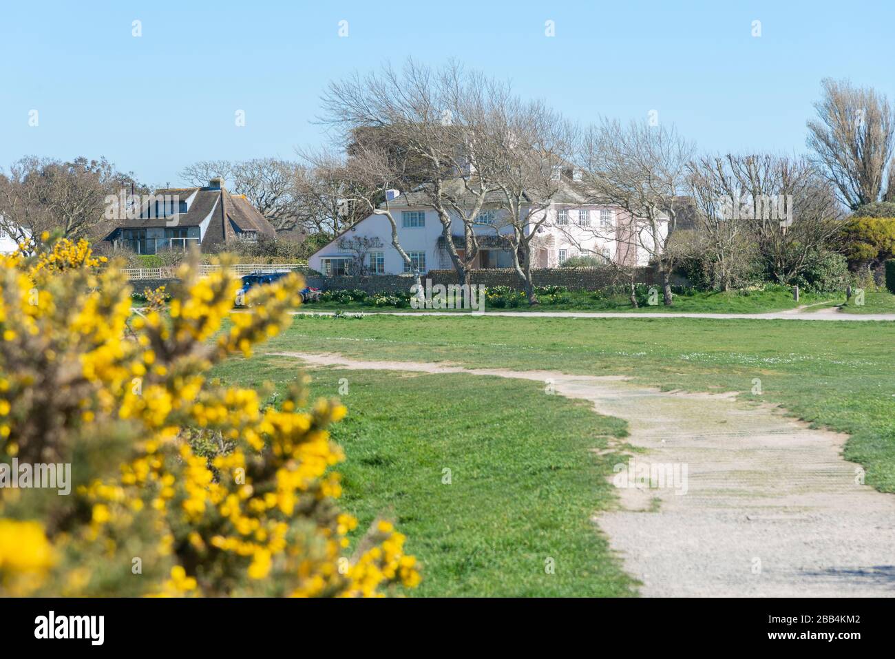 Maisons en bord de mer désirables avec des gorses en fleur sur Roman Landing, West Wittering, Chichester, West Sussex, Angleterre, Royaume-Uni Banque D'Images