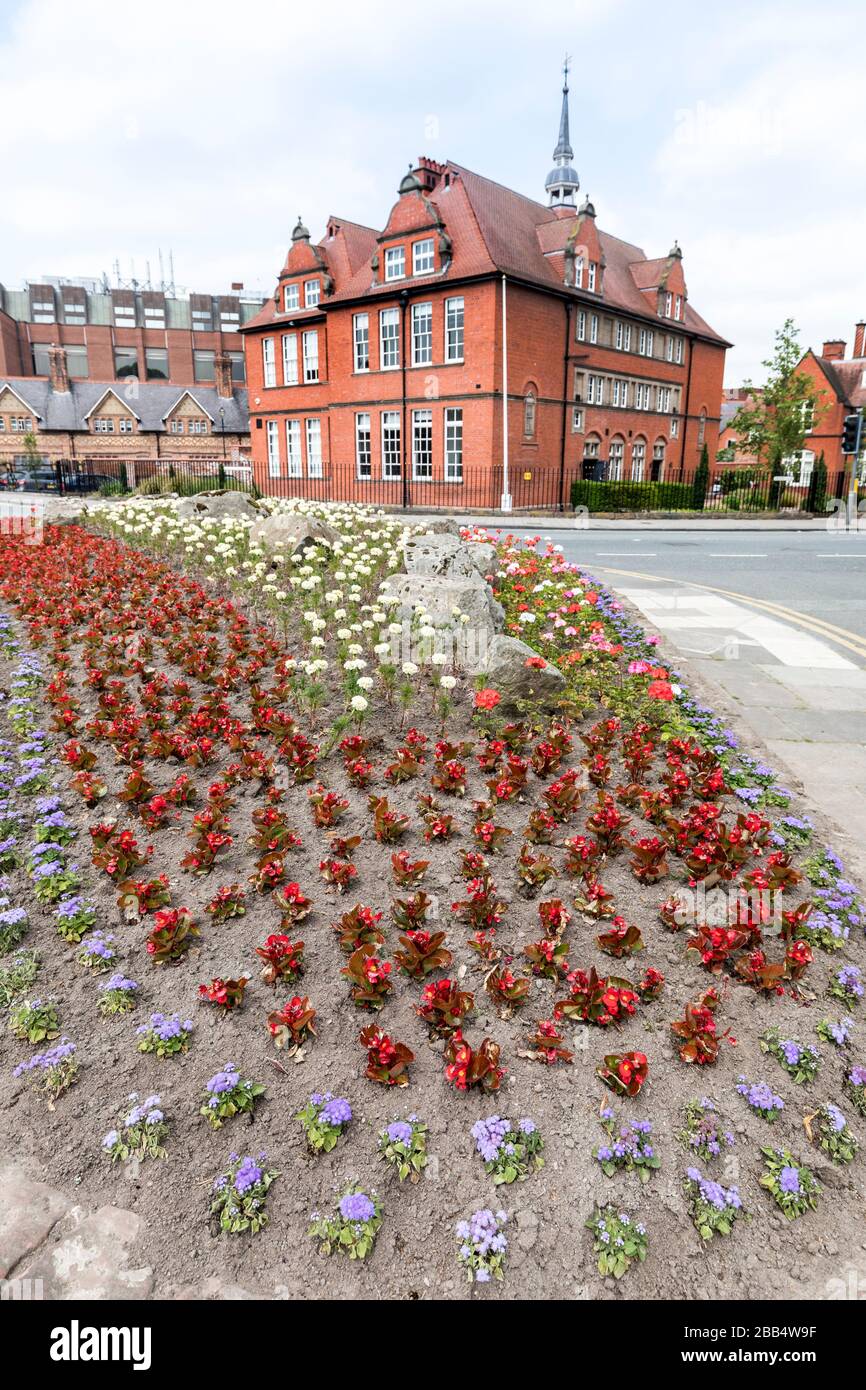 Nouveau lit fleuri planté, Chester, Cheshire, Angleterre, Royaume-Uni Banque D'Images