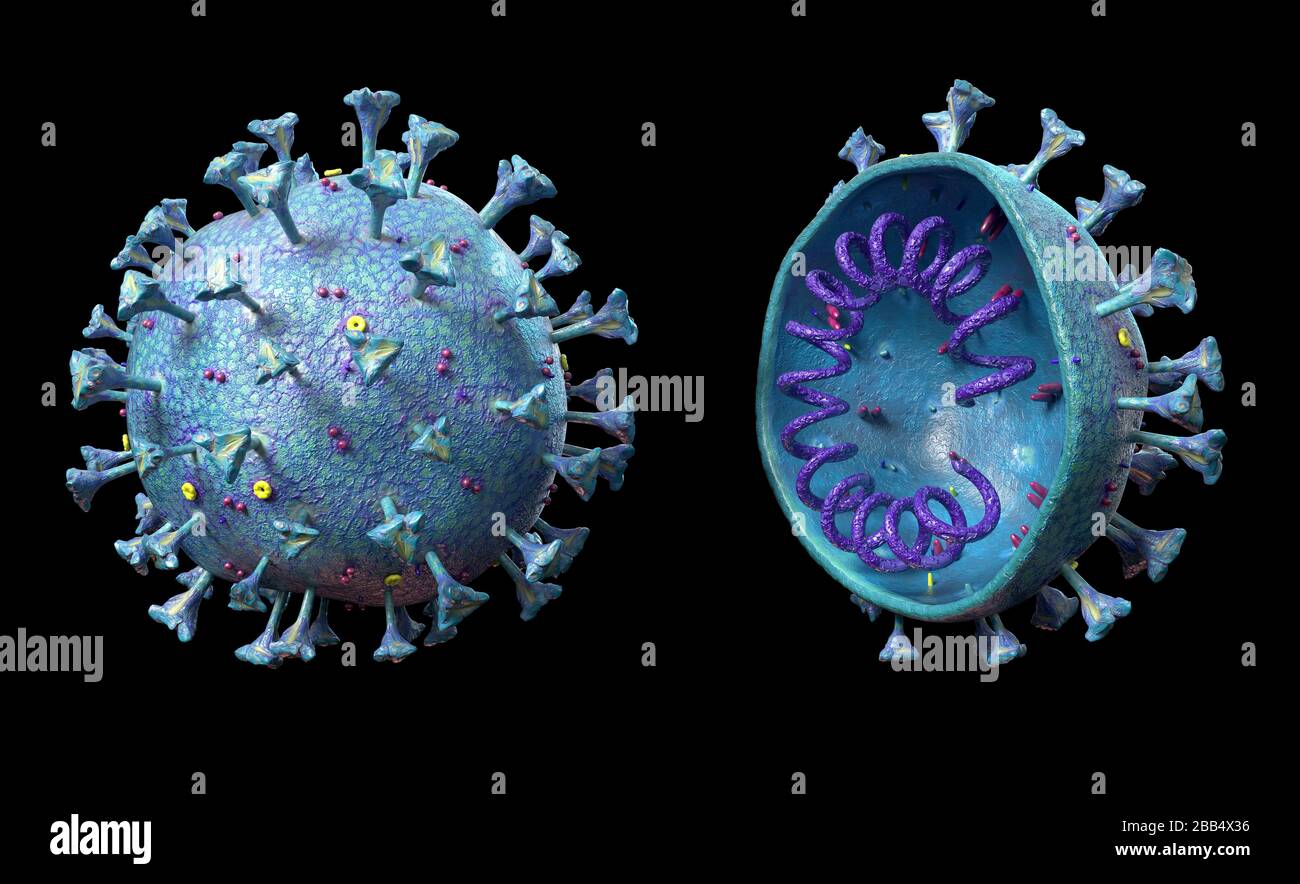 Scène du virus Corona avec structure détaillée et coupe transversale. Rendu 3D sur fond noir. Banque D'Images