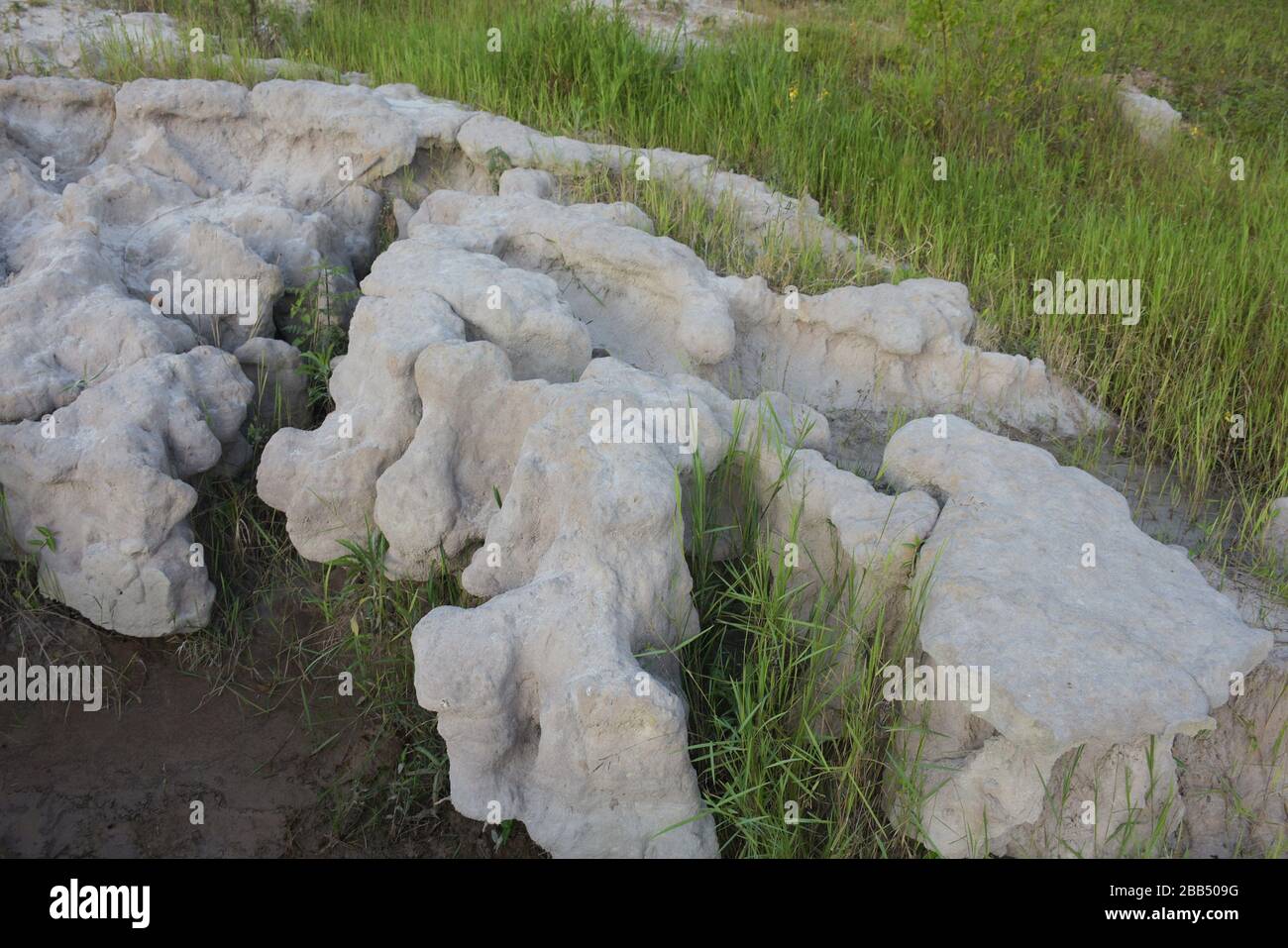Le sable blanc des marais qui a pris des formes en raison de l'érosion à Rwamagana, au Rwanda, en Afrique de l'est Banque D'Images