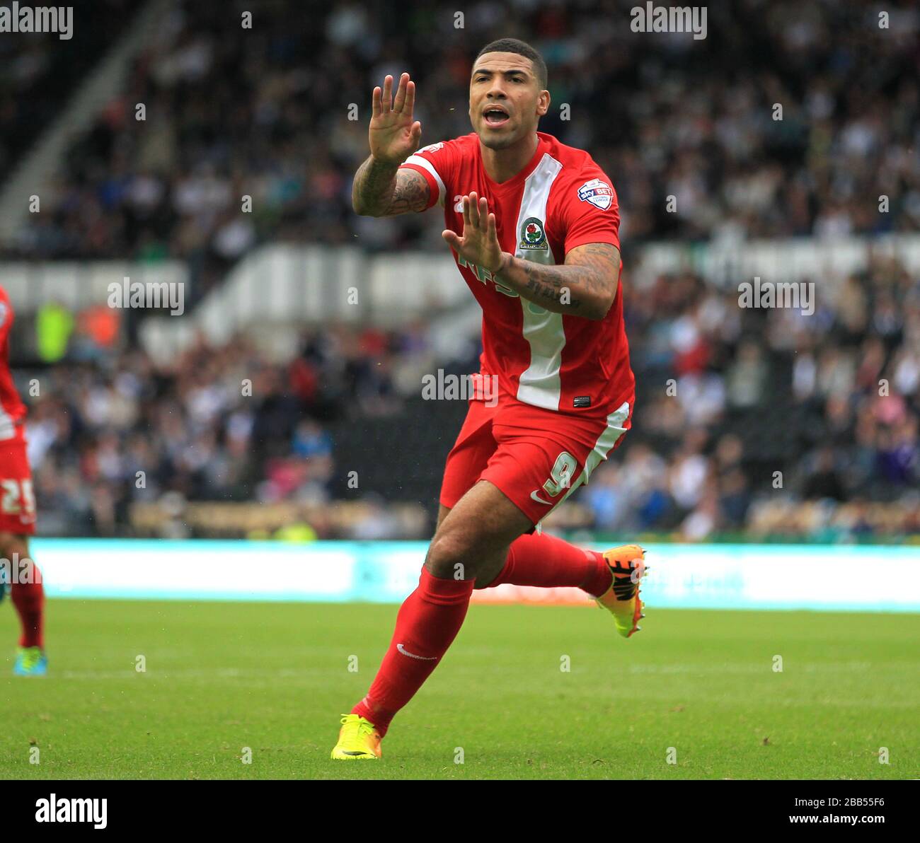 Leon Best de Blackburn Rovers célèbre la notation de ses équipes premier but du jeu Banque D'Images