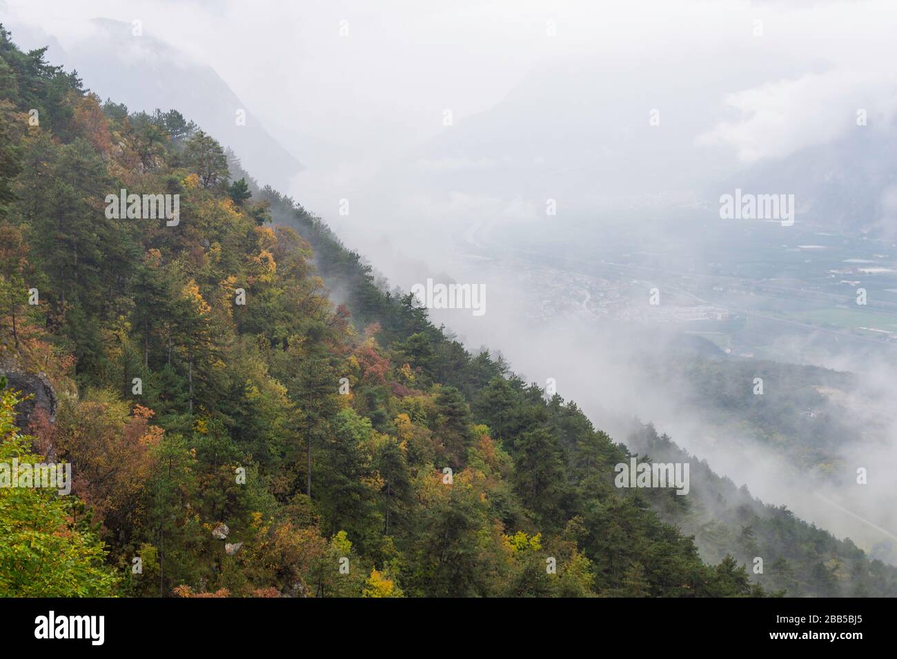 Après-midi d'automne ensoleillée des paysages de montagne. les arbres en automne feuillage sur la colline verte. pré herbeux. Ridge dans la distance avec les nuages par temps clair. Banque D'Images