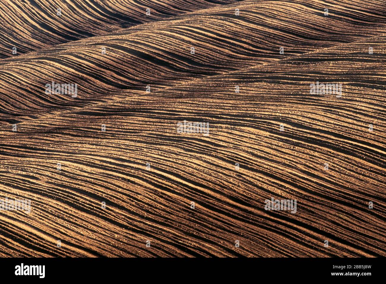 Paysage abstrait avec vagues de terre labourées. Région de la Moravie du Sud, République tchèque Banque D'Images