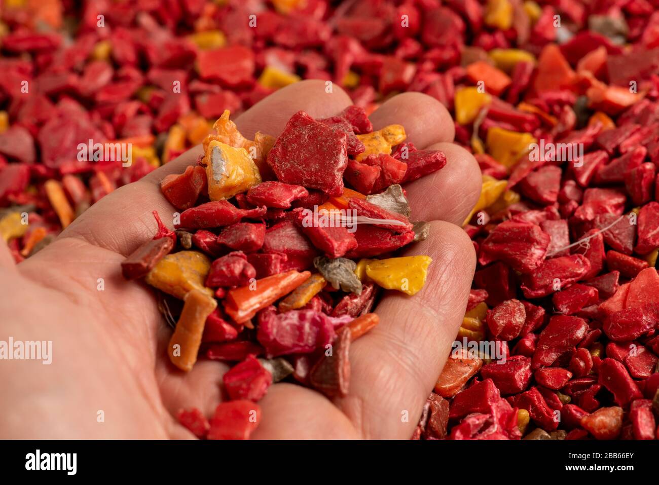 Plastique rouge recyclé granulaire à la main Banque D'Images