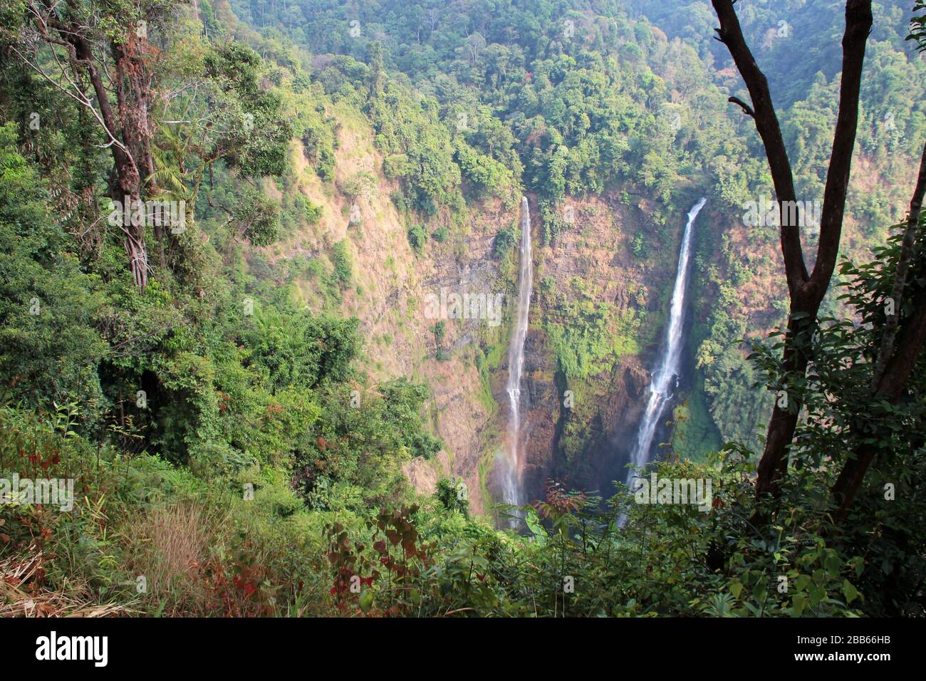 cascades de tad fane au laos Banque D'Images
