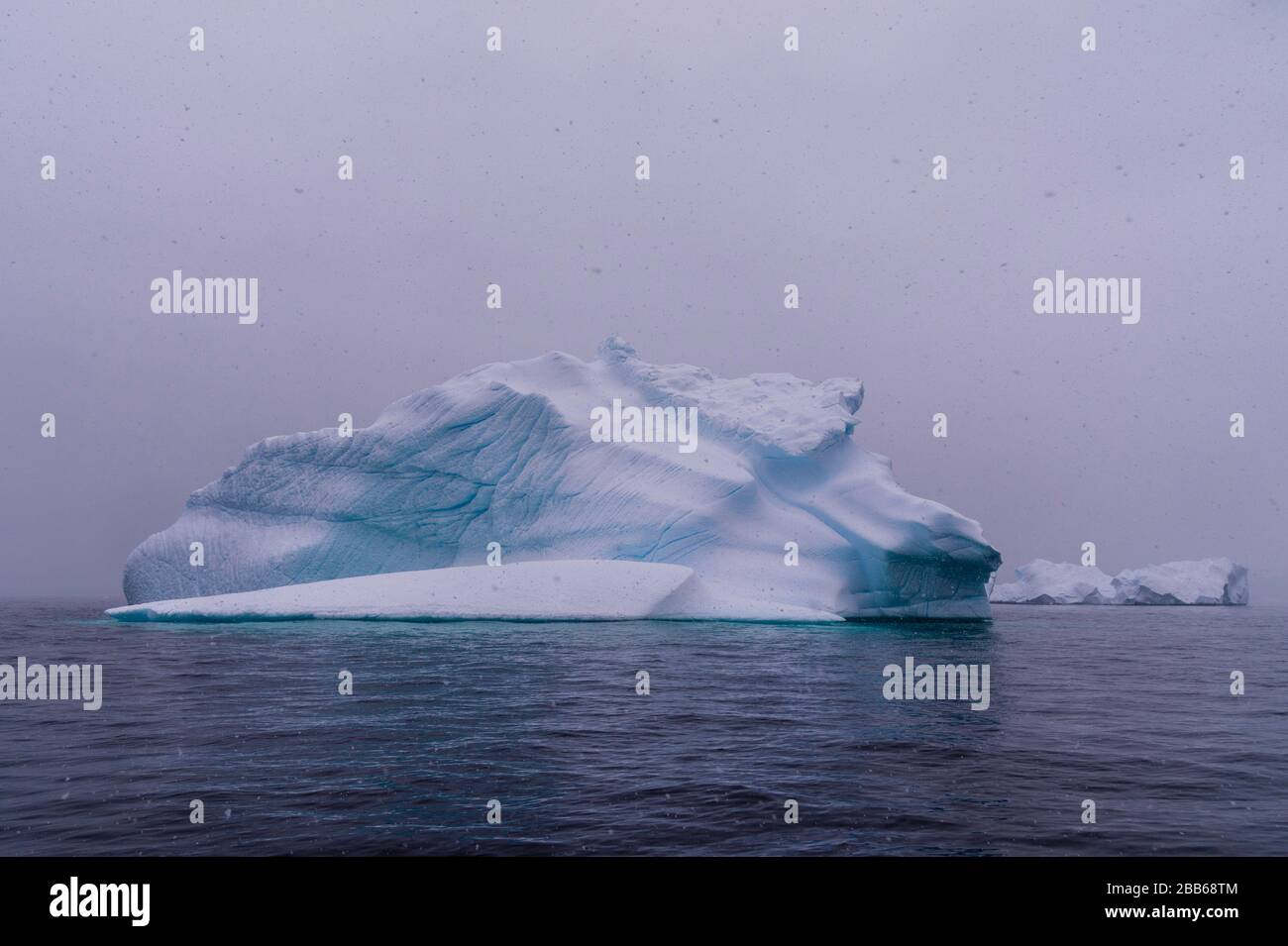 Portail des icebergs dans l'Antarctique, Point. Banque D'Images