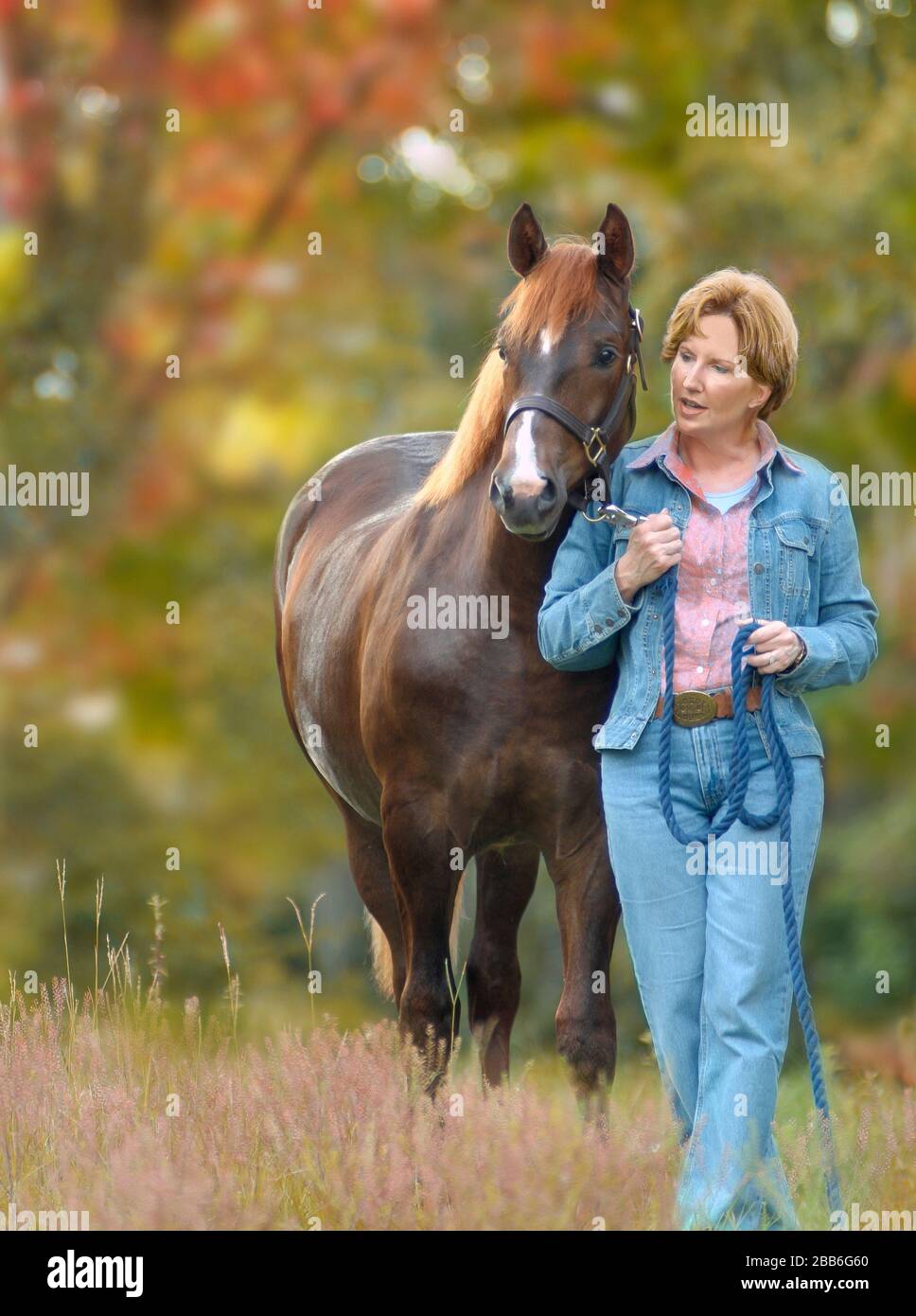 Femme mûre debout avec Arabian Horse colt en automne Banque D'Images