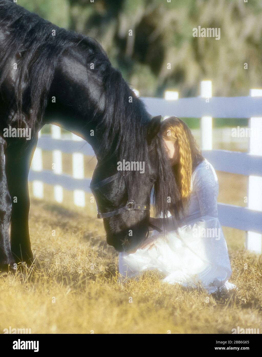 La jeune femme s'agenouille et caresses est la tête de l'étalon Friesian Banque D'Images