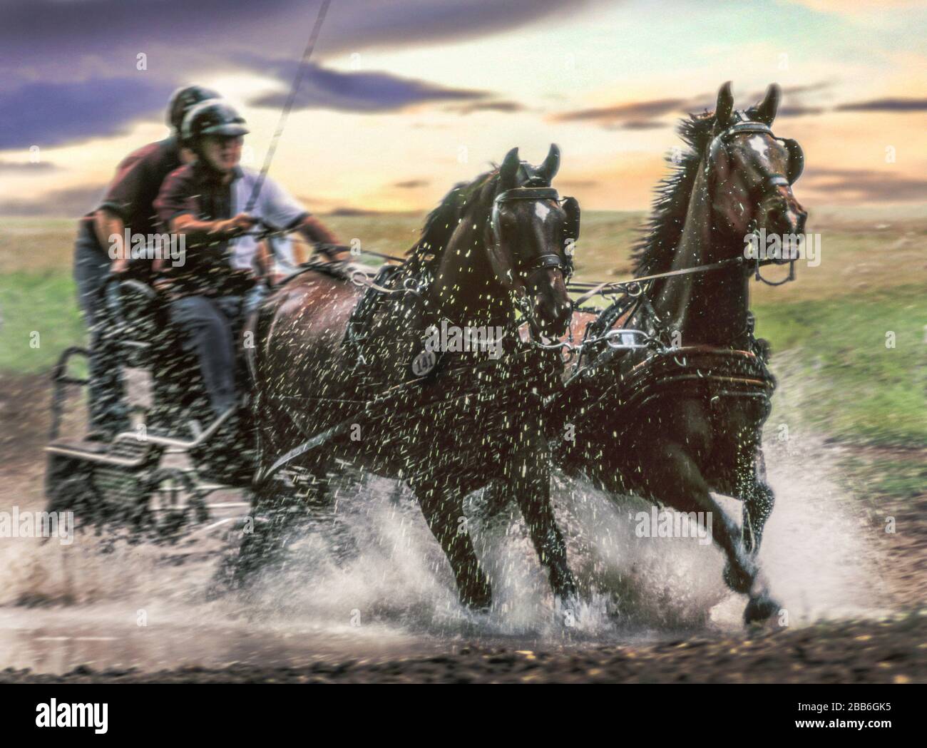 Compétition d'entraînement combinée, parcours d'endurance. Banque D'Images