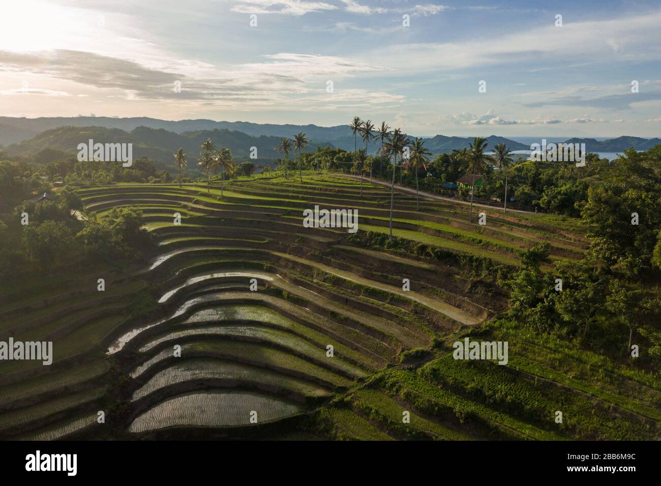 Rizières en terrasse, Mareje, Lombok, West Nusa Tenggara, Indonésie Banque D'Images
