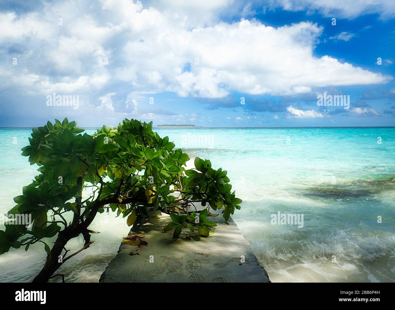 Arbre penchant sur une jetée sur la plage tropicale, Rannalhi, South Malé Atoll, Maldives Banque D'Images