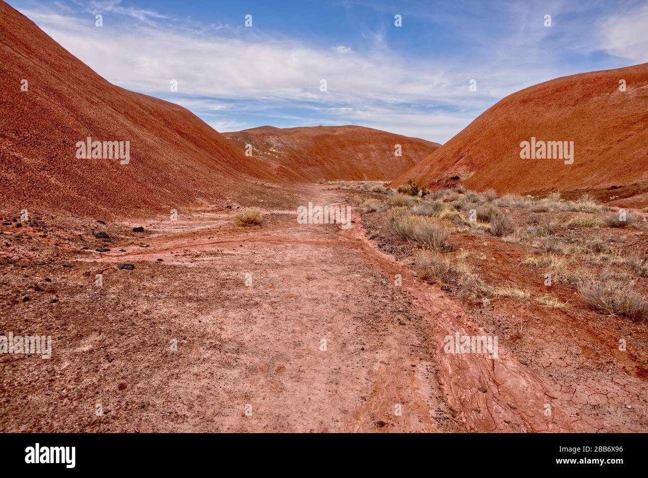 Bentonite Hills et vallée dans le parc national de la forêt pétrifiée, Arizona, États-Unis Banque D'Images