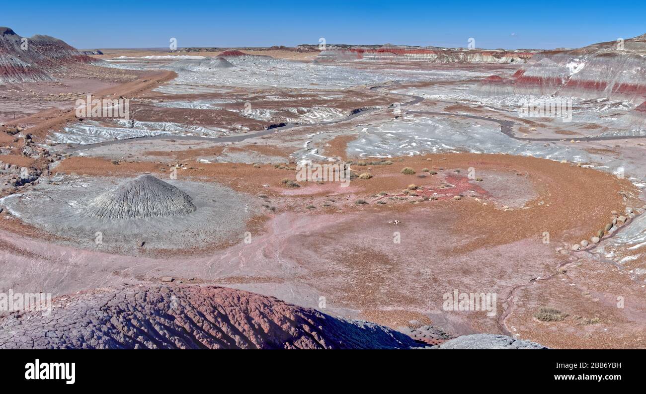 Collines bentonites recouvertes de sel, sentier de la forêt bleue, parc national de la forêt pétrifiée, Arizona, États-Unis Banque D'Images