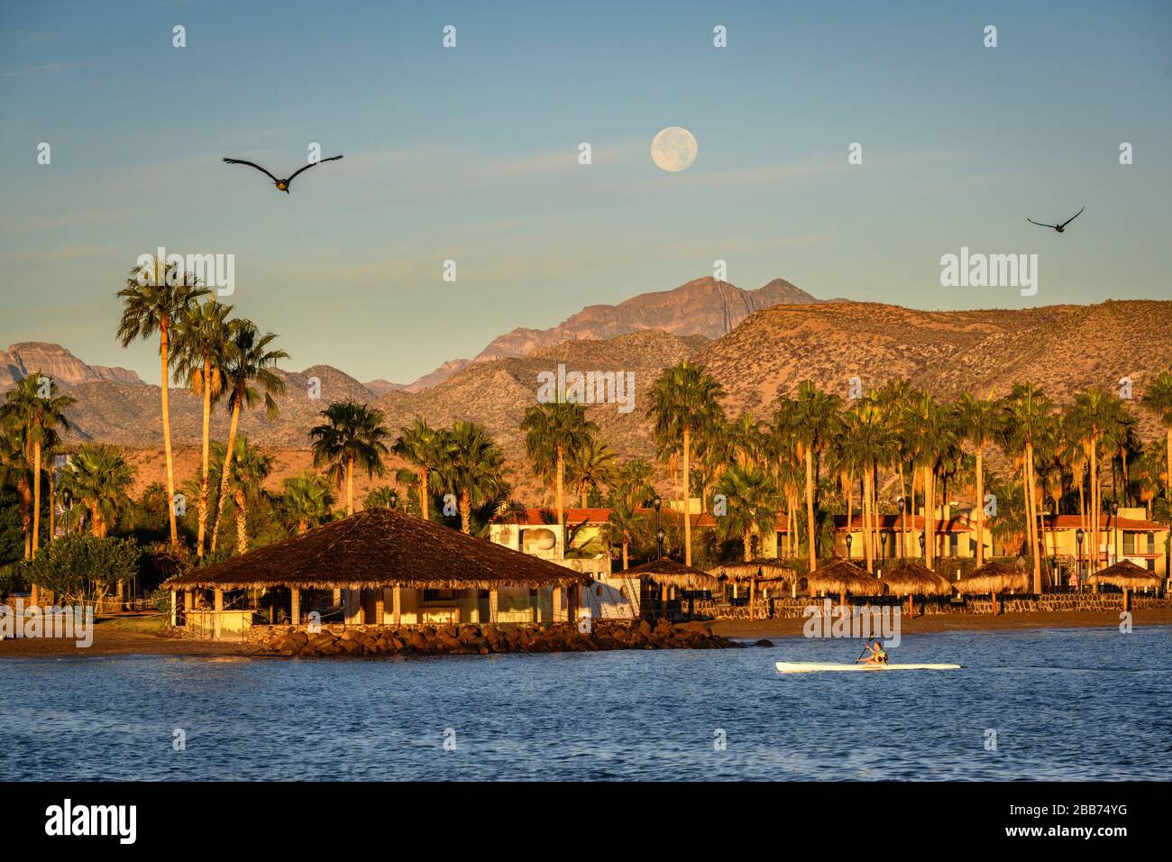 Femme kayak le long de la plage à Loreto, Baja California sur, Mexique. Banque D'Images