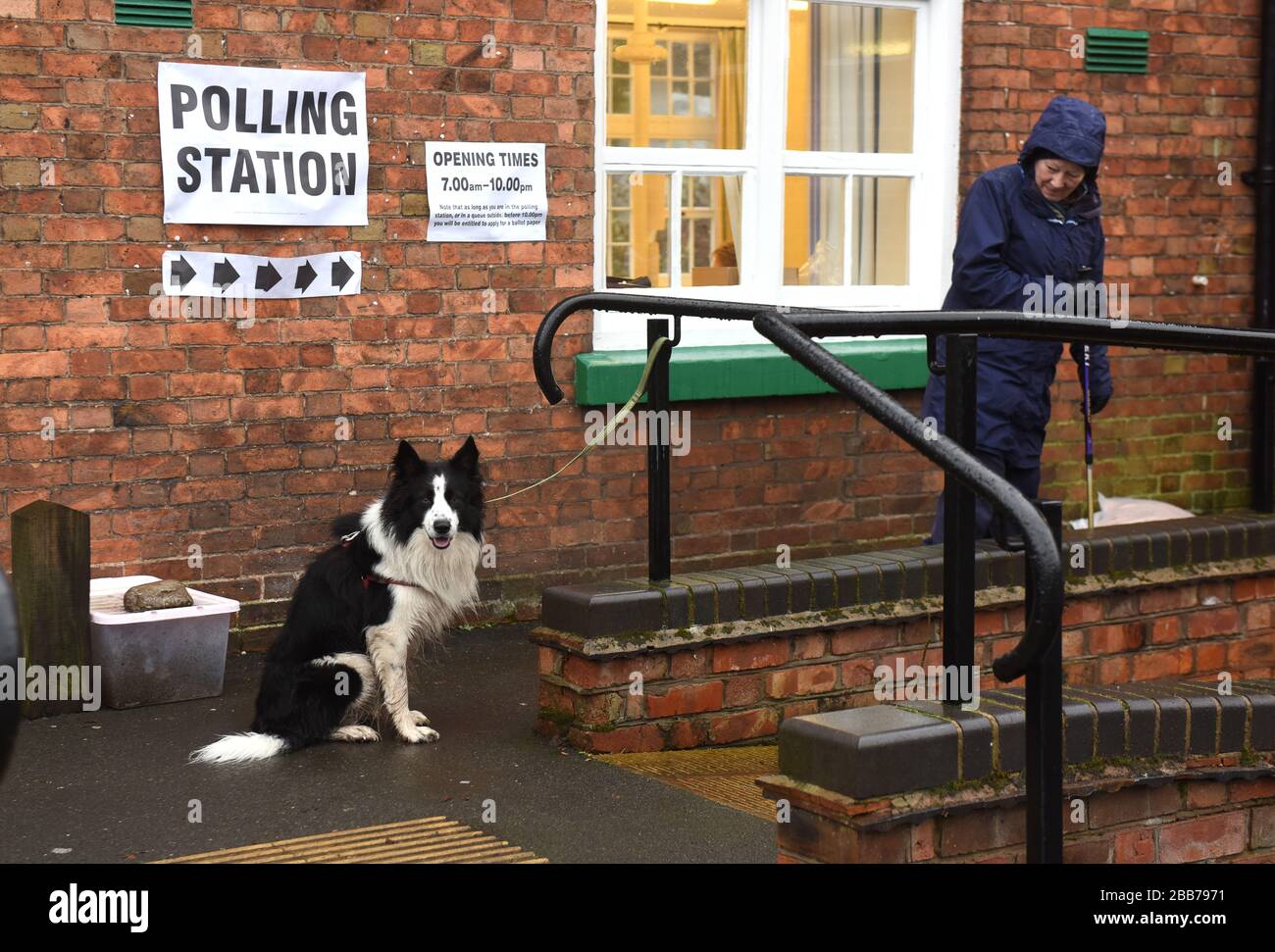 Voter à l'élection générale 2019 à Coalbrookdale alors que le chien attend sous la pluie. Banque D'Images