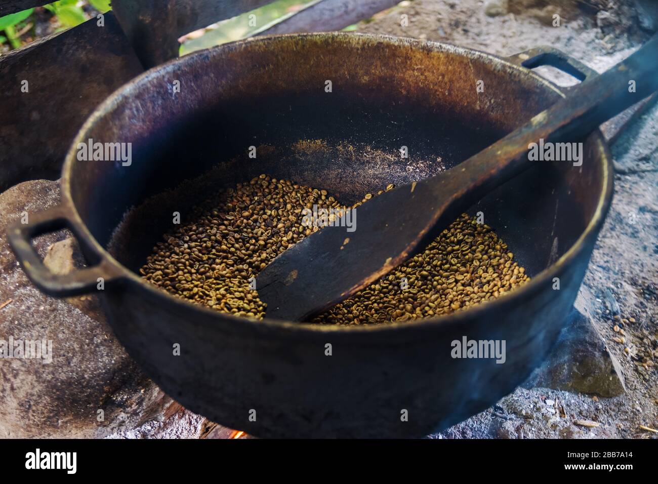 Grains de café rôtis de porc photographiés lors d'une promenade Banque D'Images