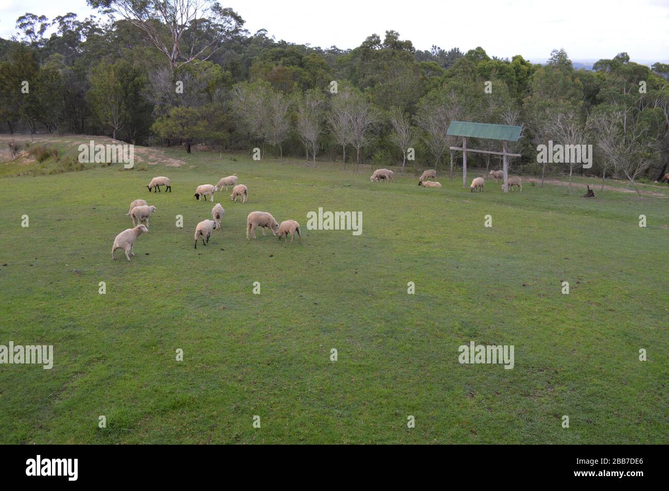 Australien Banque D'Images