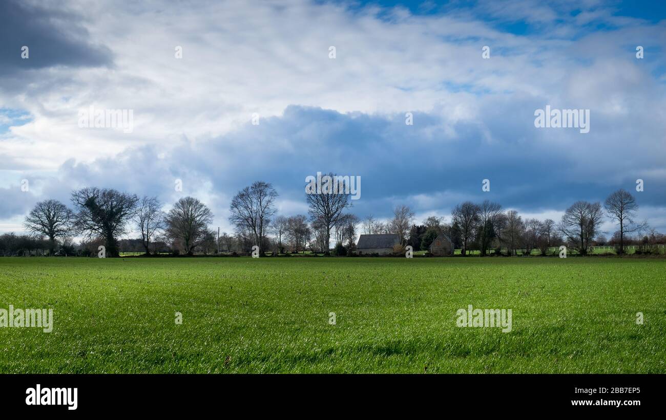 Vue sur un champ entre les précipitations dans la campagne normande en hiver Banque D'Images