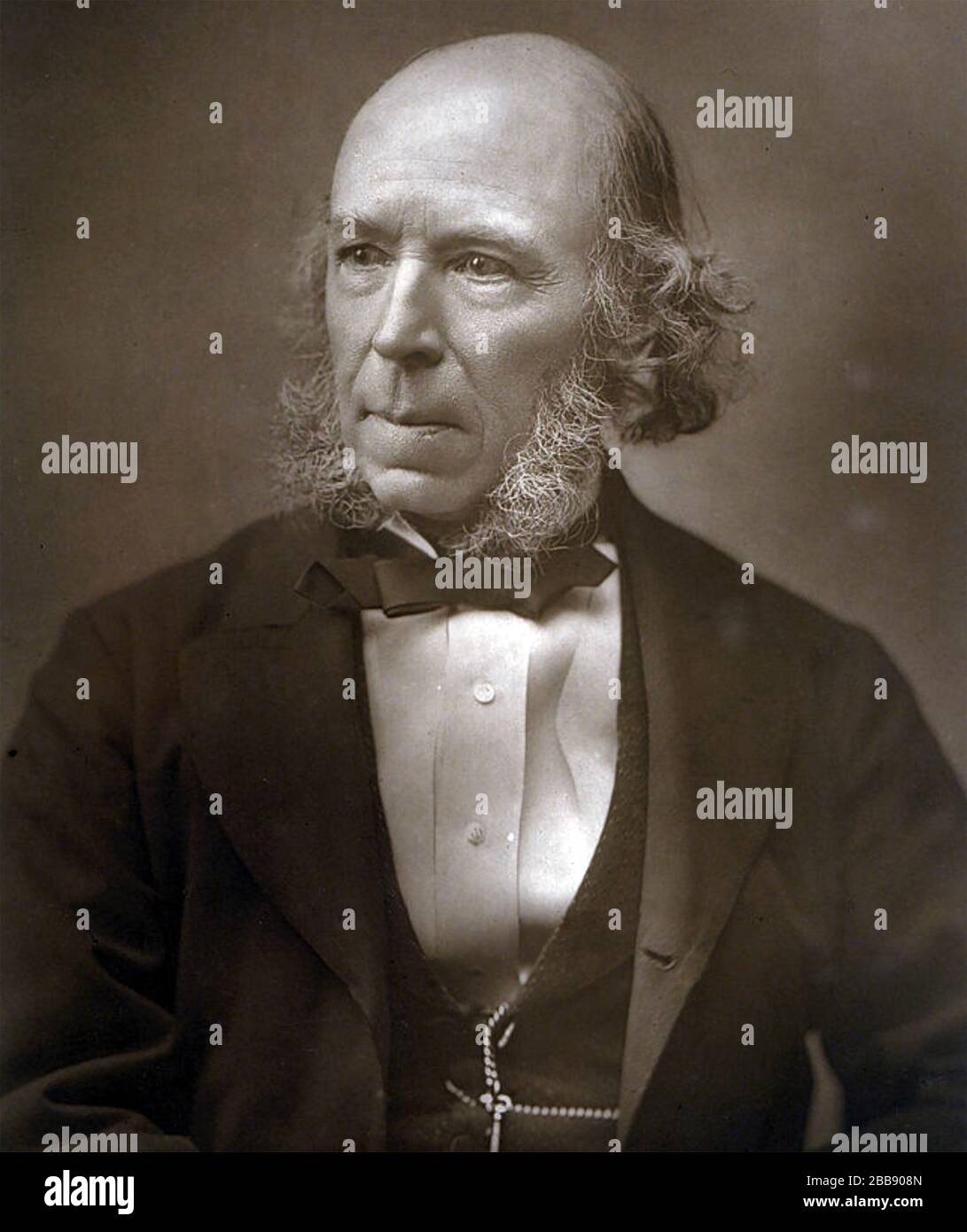 HERBERT SPENCER (1820-1903) philosophe anglais, biologiste, anthropologue, Banque D'Images