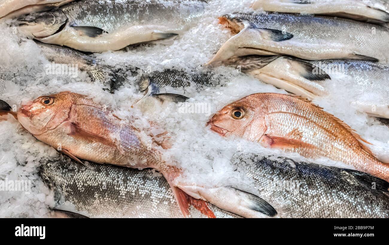 Gros plan de poissons roses et argentés sur la glace Banque D'Images