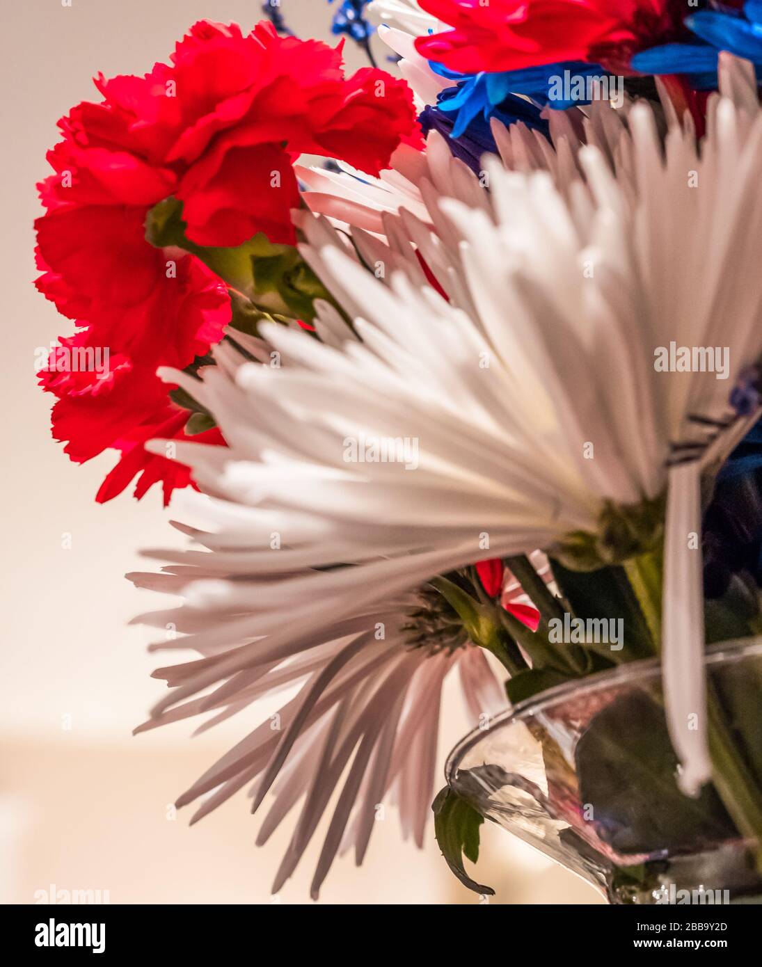 Gros plan sur un bouquet de fleurs rouges blanches et bleues. Banque D'Images