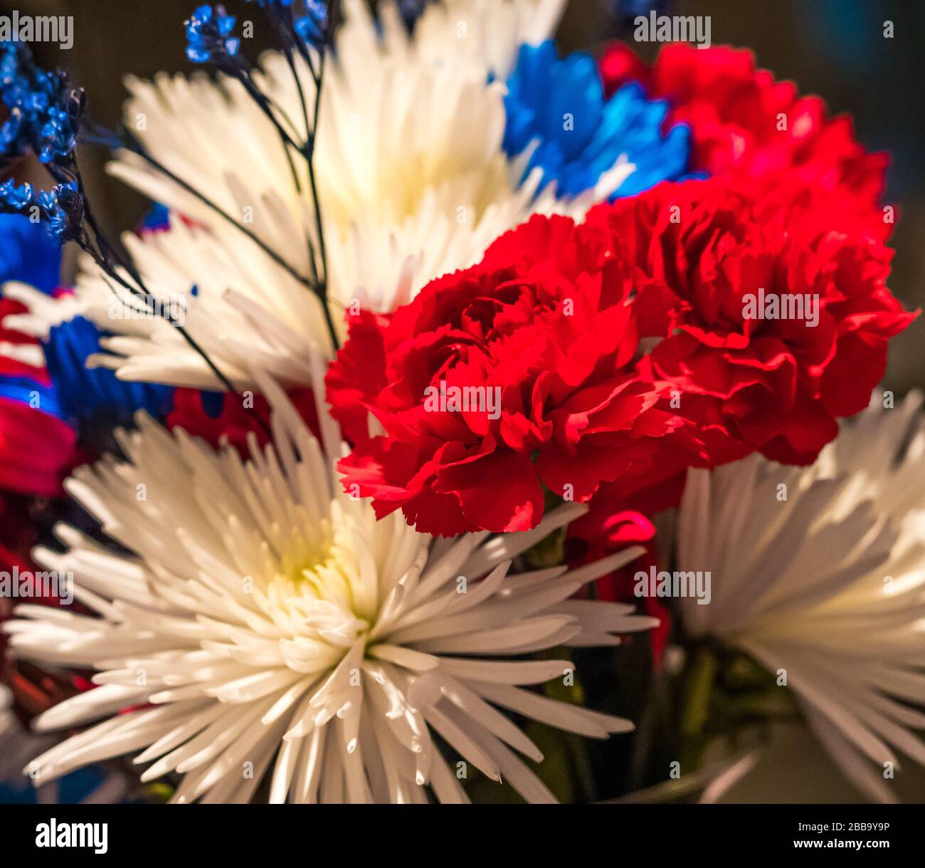 Gros plan sur un bouquet de fleurs rouges blanches et bleues. Banque D'Images