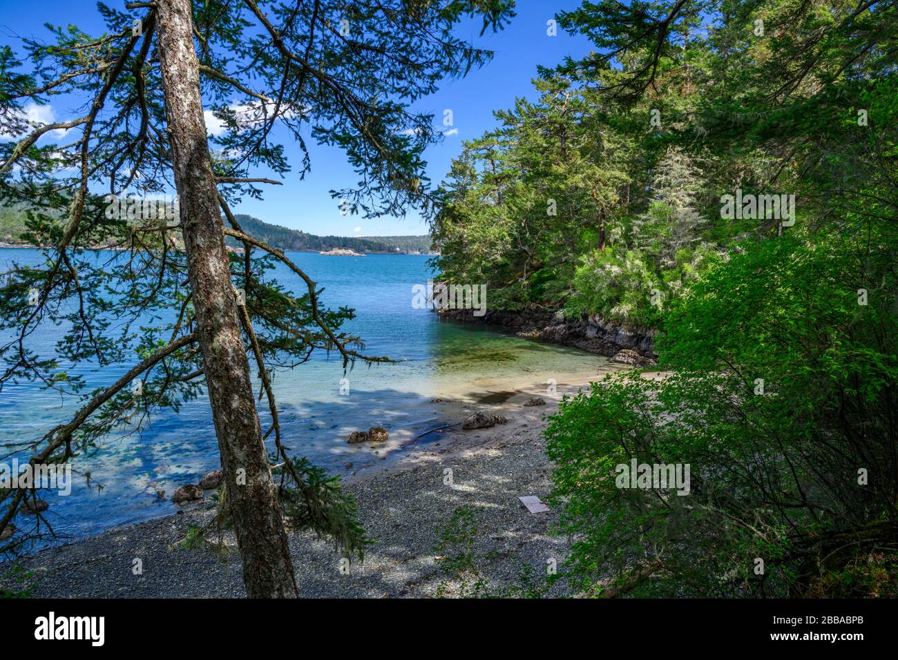 East Sooke Park, Sooke, île de Vancouver, C.-B., Canada Banque D'Images