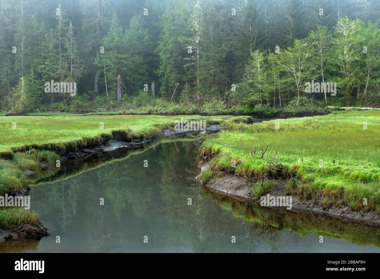 Port Renfrew, île de Vancouver, C.-B., Canada Banque D'Images