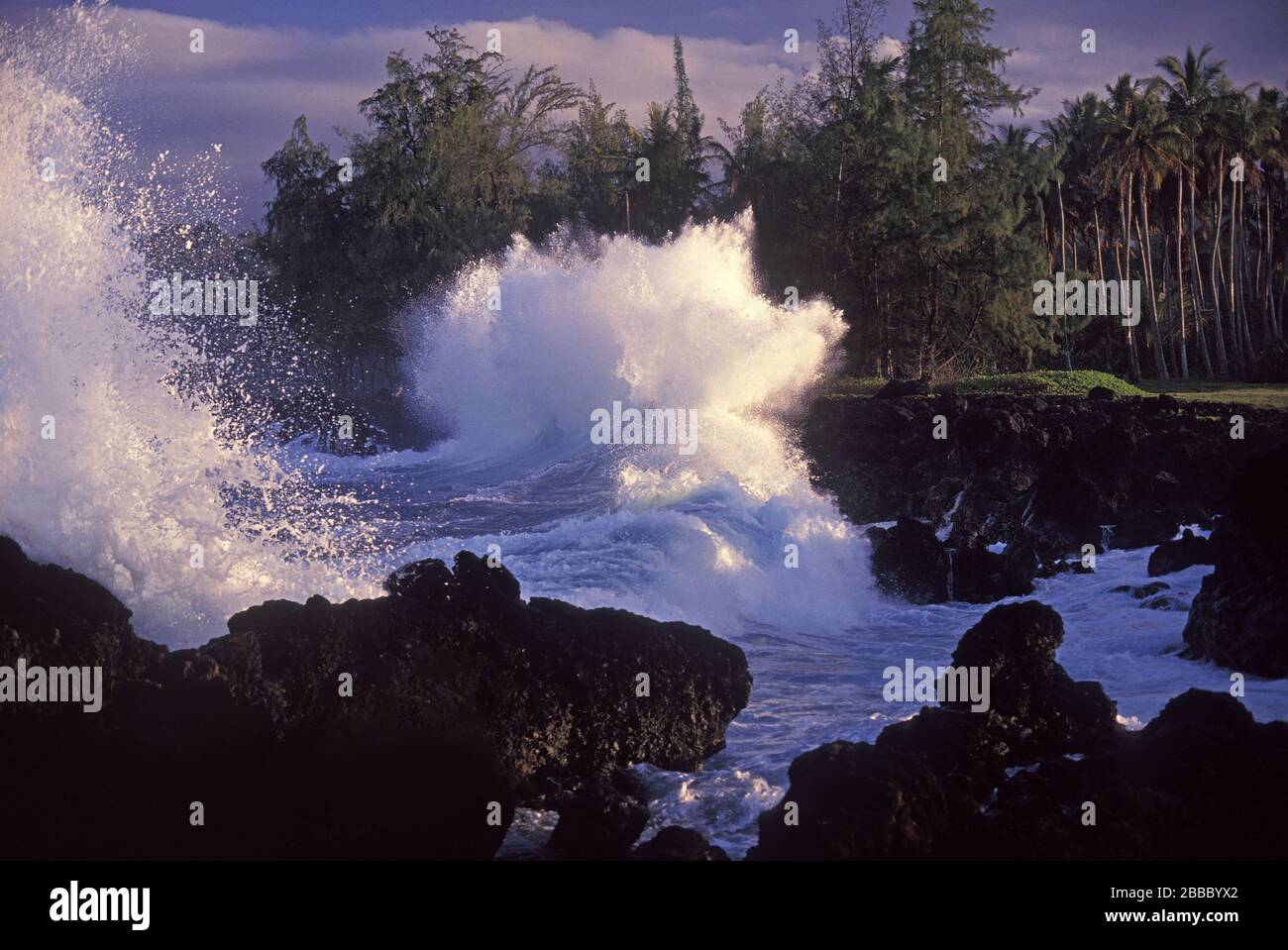 Les vagues s'écrasent sur les rives rocheuses à Keanae, Maui, Hawaï. Banque D'Images