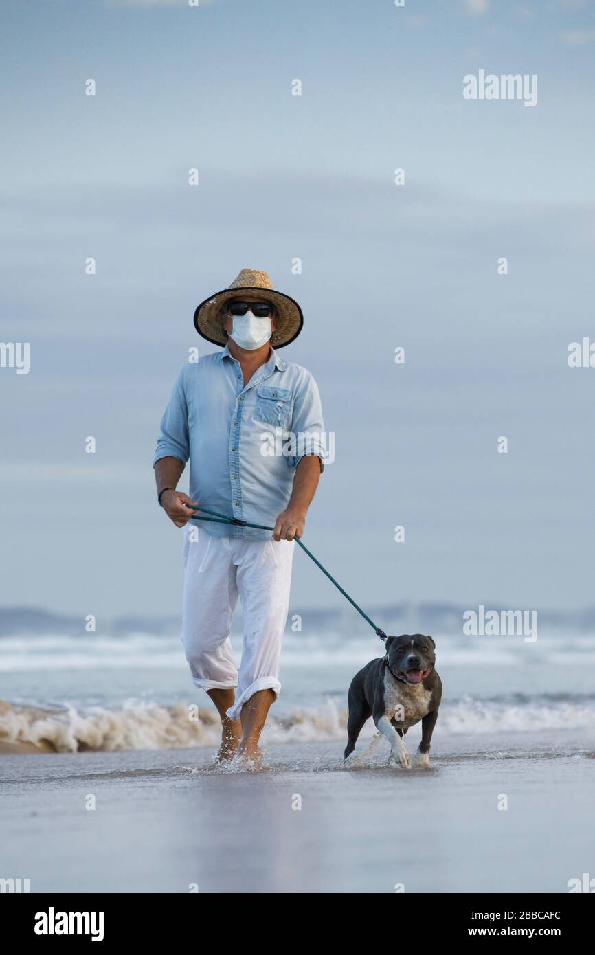 homme avec masque médical marchant un chien bleu stafford bord de mer, le meilleur ami, le concept de chien de marche ou rester actif au milieu de la pandémie de coronavirus Banque D'Images