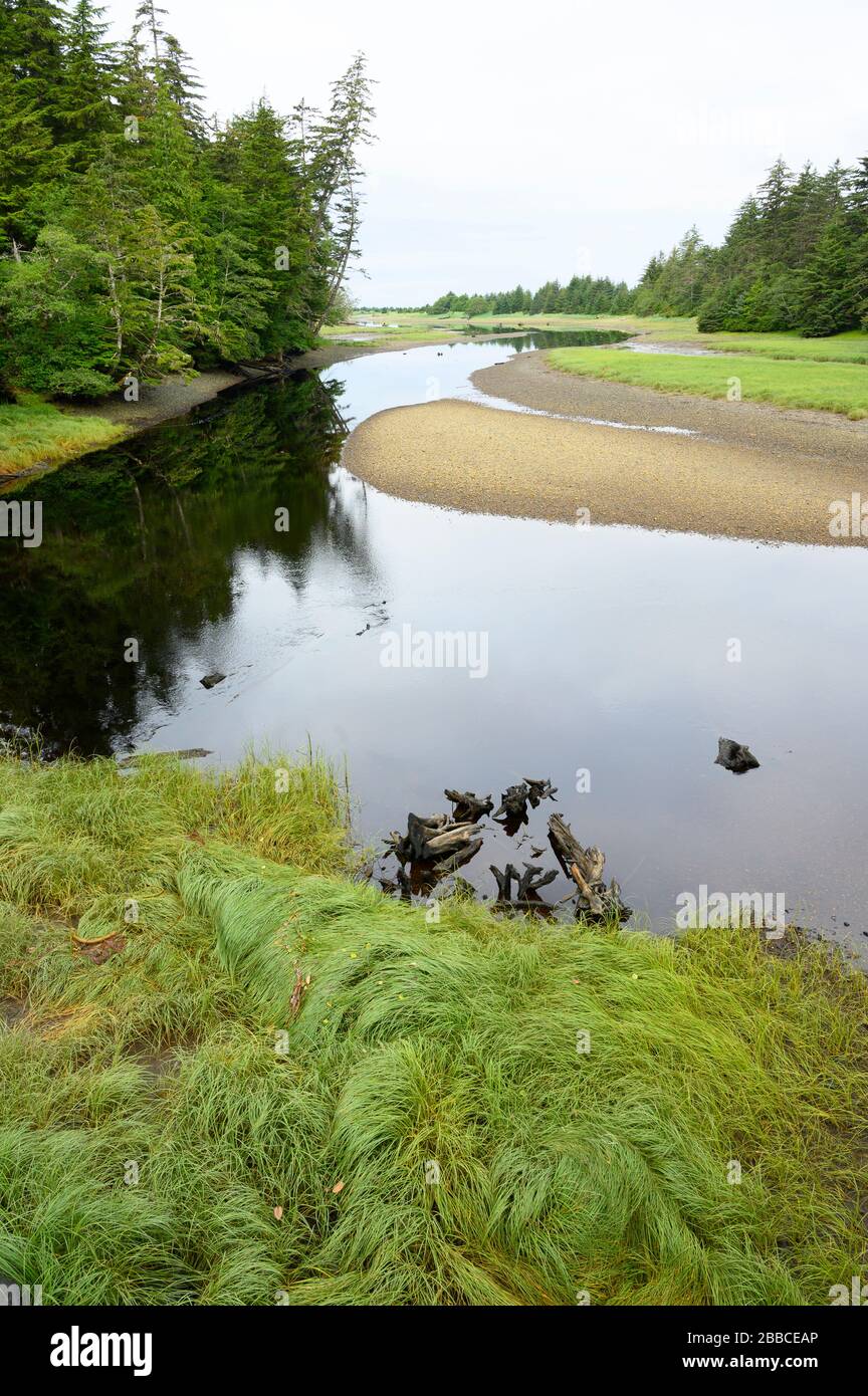 Sangan River, Graham Island, Haida Gwaii, anciennement connue sous le nom d'îles de la Reine-Charlotte, Colombie-Britannique, Canada Banque D'Images