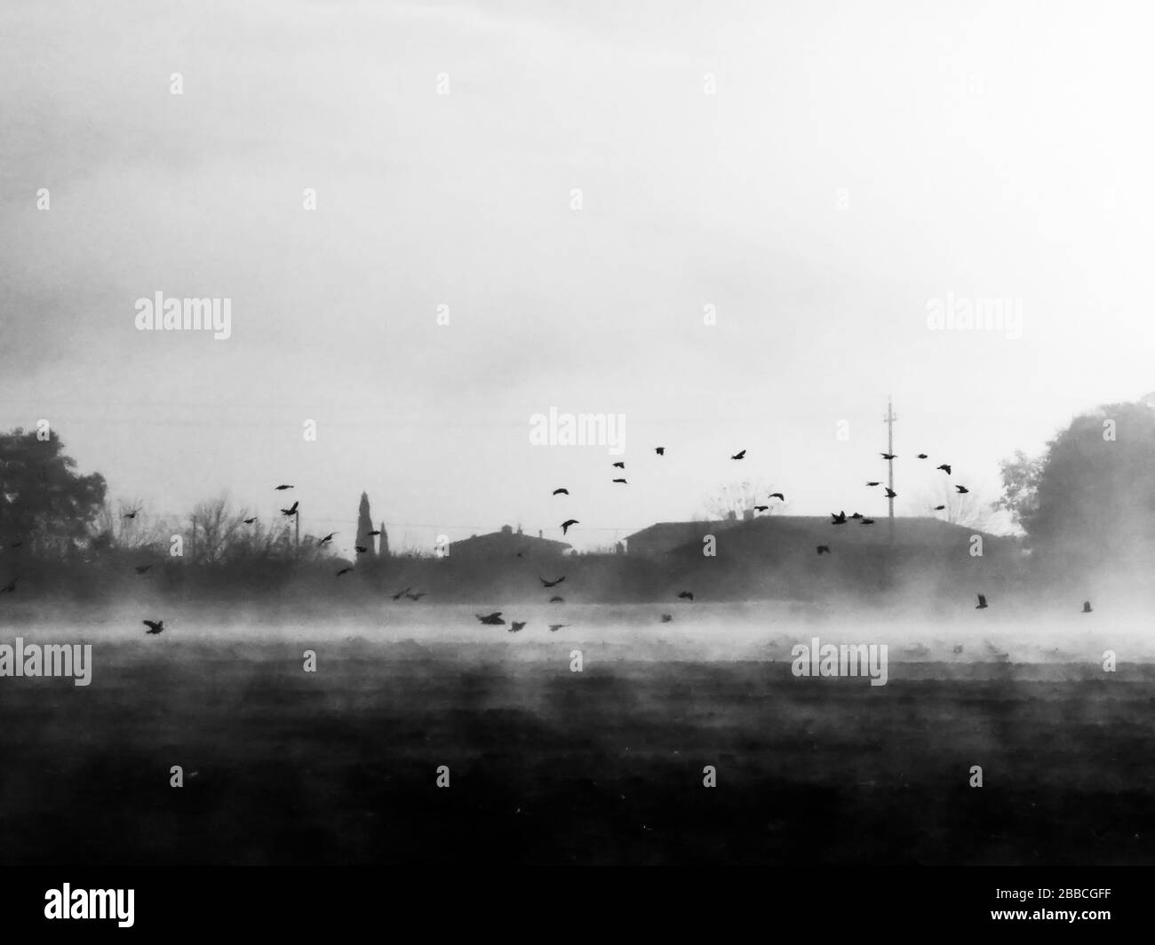 Vue sur le pays au milieu du brouillard avec un troupeau d'oiseaux sur un champ cultivé Banque D'Images