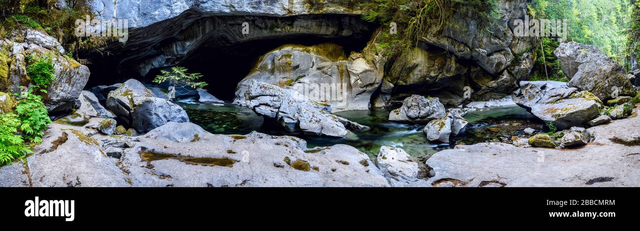 Parc régional Little Huson Caves, île de Vancouver, C.-B., Canada Banque D'Images