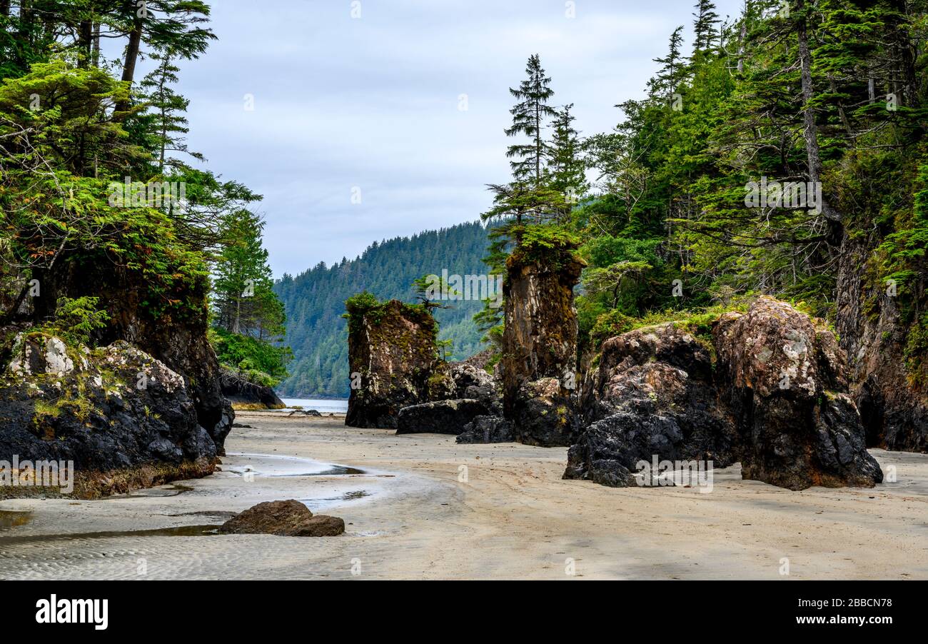 Baie de San Joseph, parc provincial du Cap Scott, île de Vancouver, C.-B., Canada Banque D'Images