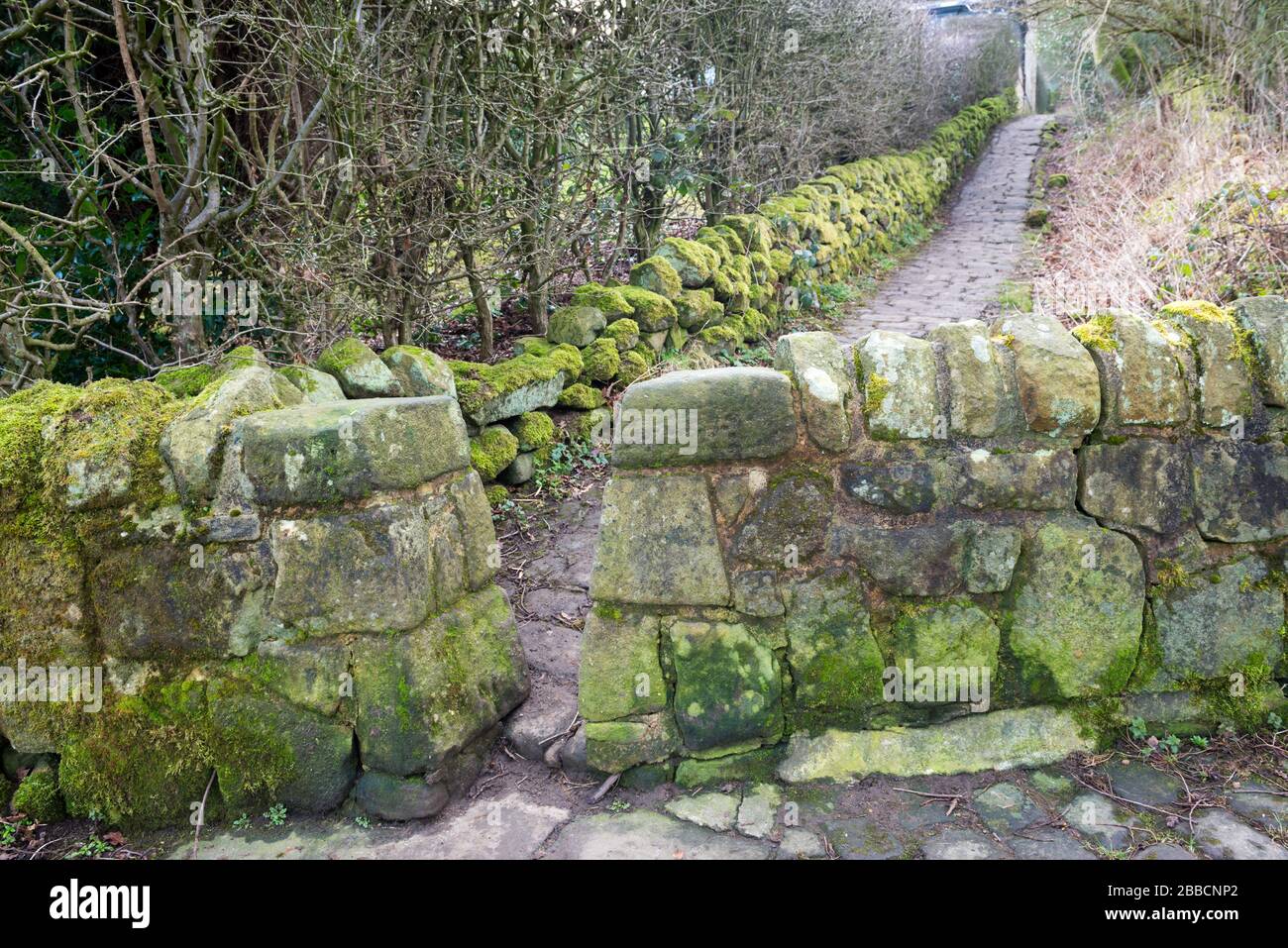 Un fossé de pierre s'étouffe sur le sentier menant de la ville d'Otley à Otley Chevin Banque D'Images