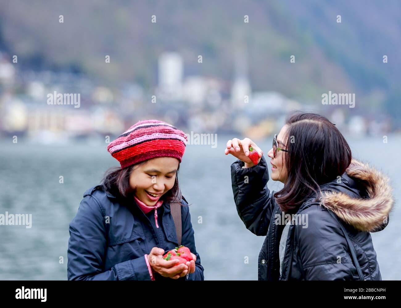 Deux amis féminines aiment partager des fraises Banque D'Images