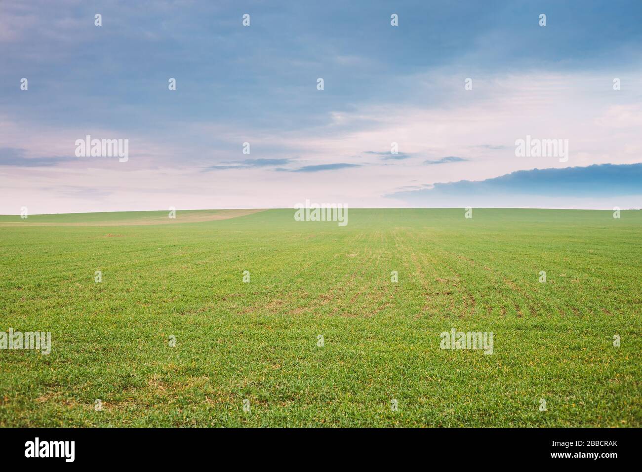 Paysage rural Field Meadow Paysage en printemps Nuageux. Paysage agricole pittoresque. Banque D'Images