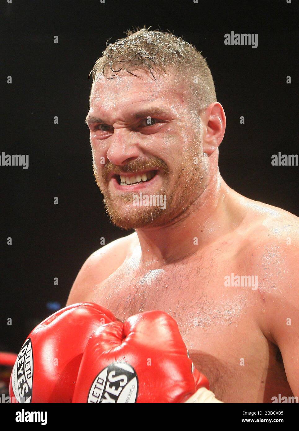 Tyson Fury (short d'or) bat John McDermott pour gagner le titre de boxe à fort poids anglais au Centre Brentwood, dans l'Essex, promu par Frank Maloney Banque D'Images