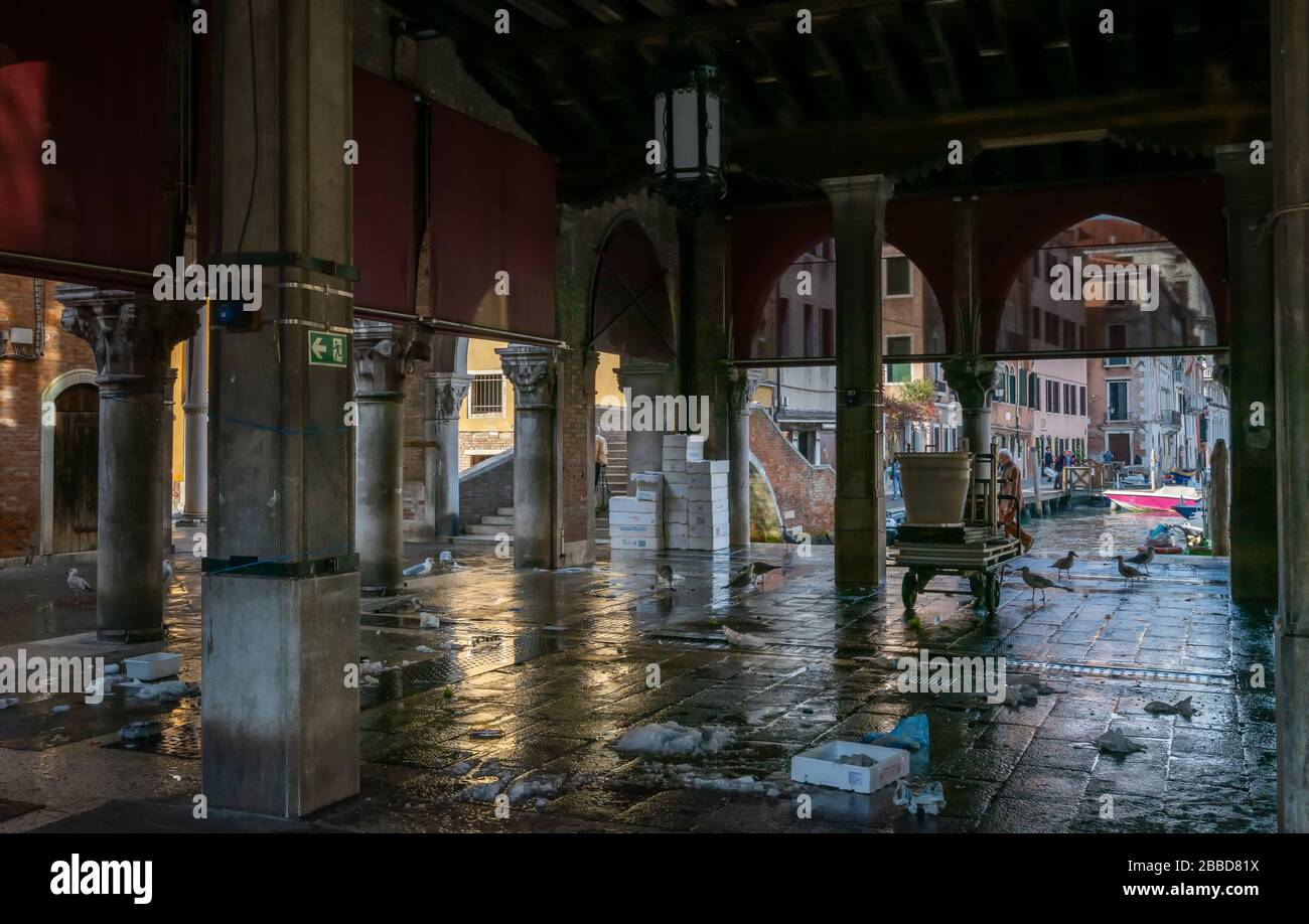 Venise, Italie, la salle de marché sur le pont du Rialto dans laquelle les poissons sont vendus et échangés Banque D'Images