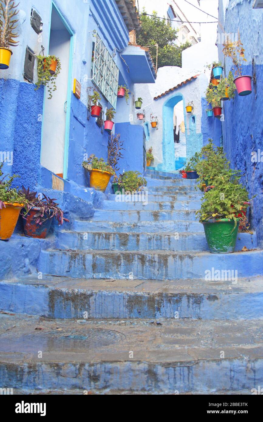 Marches bleues dans la Médina de Chefchaouen, Maroc Banque D'Images