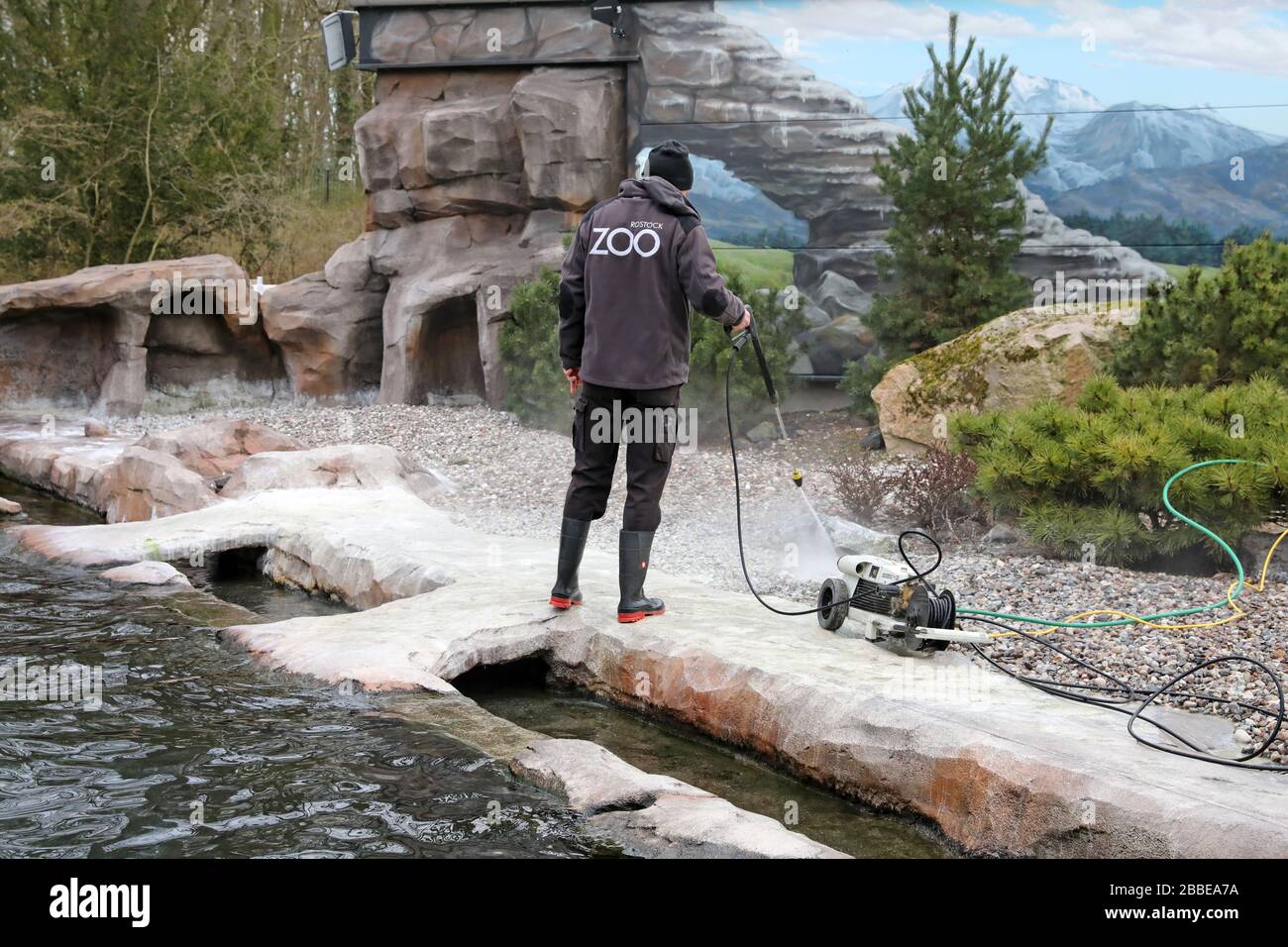 Rostock, Allemagne. 31 mars 2020. L'enceinte des pingouins du polarium est nettoyée. Le zoo s'est préparé pour la fermeture jusqu'au 20.04.2020, après qu'il sera fermé. L'Association des Jardins zoologiques a contacté le chancelier avec une demande urgente de programme d'aide d'urgence de 100 millions d'euros. Crédit: Bernd Wüstneck/dpa-Zentralbild/dpa/Alay Live News Banque D'Images