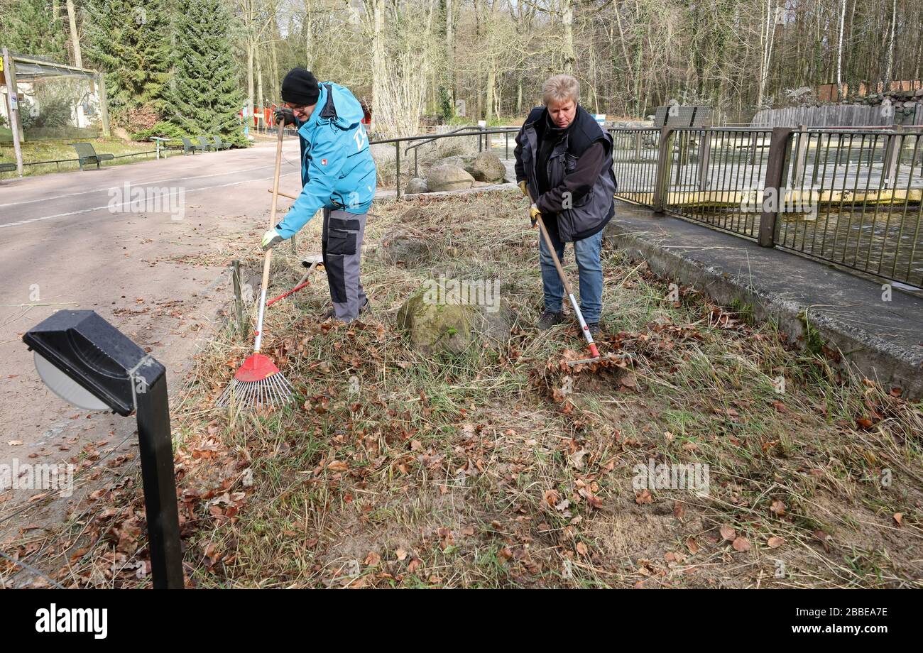 Rostock, Allemagne. 31 mars 2020. Un espace ouvert dans le zoo est en cours de préparation. Le zoo s'est préparé pour la fermeture jusqu'au 20.04.2020, après que ce sera serré. L'Association des Jardins zoologiques a lancé un appel au chancelier pour une demande urgente de programme d'aide d'urgence d'une valeur de 100 millions d'euros. Crédit: Bernd Wüstneck/dpa-Zentralbild/dpa/Alay Live News Banque D'Images