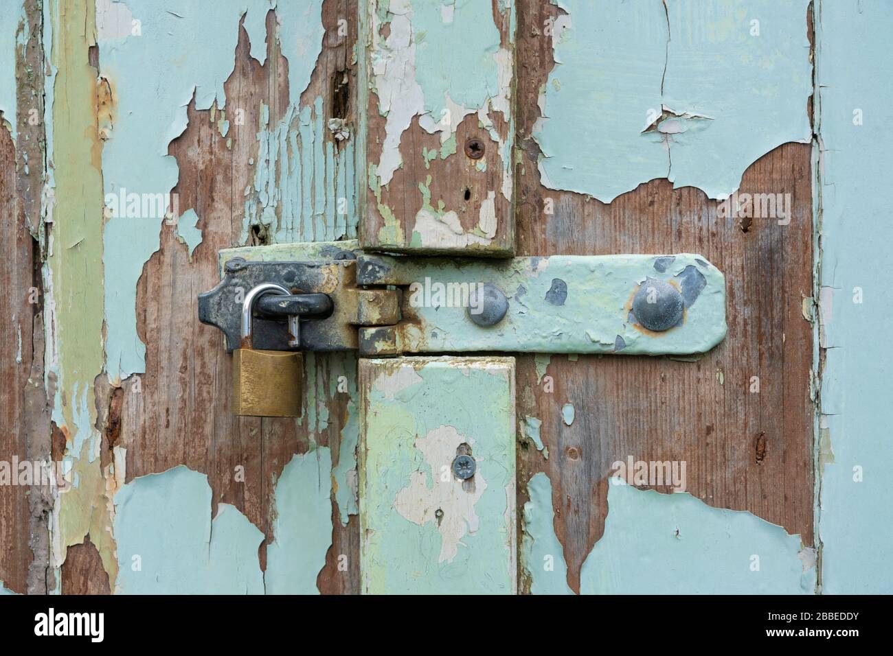 Cadenas déverrouillé sur l'ancienne porte en bois avec peinture écaillée à Newport, Pembrokeshire. Pays de Galles. ROYAUME-UNI Banque D'Images