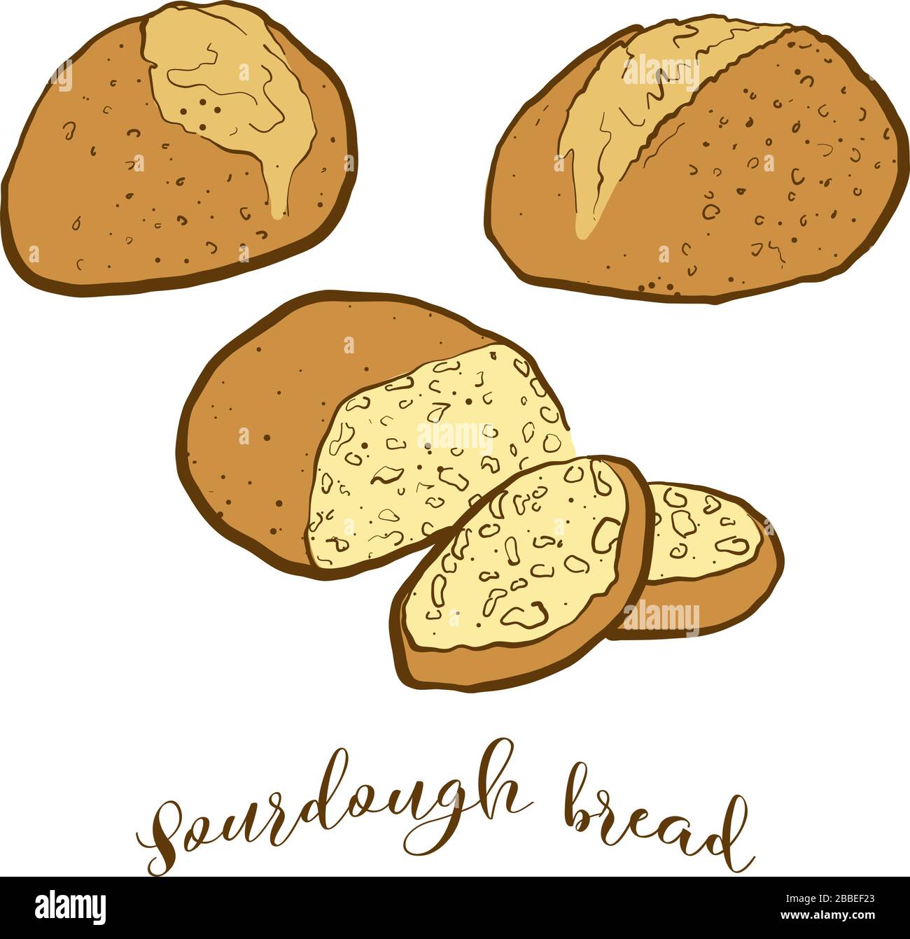 Dessin coloré du pain de pâte à pain. Illustration vectorielle de la nourriture de Sourdough, généralement connue dans le croissant fertile. Croquis de pain colorés. Illustration de Vecteur