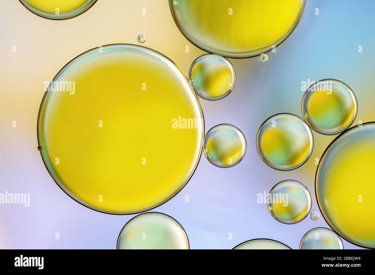 Gros plan coloré de gouttes d'huile flottant sur l'eau Banque D'Images