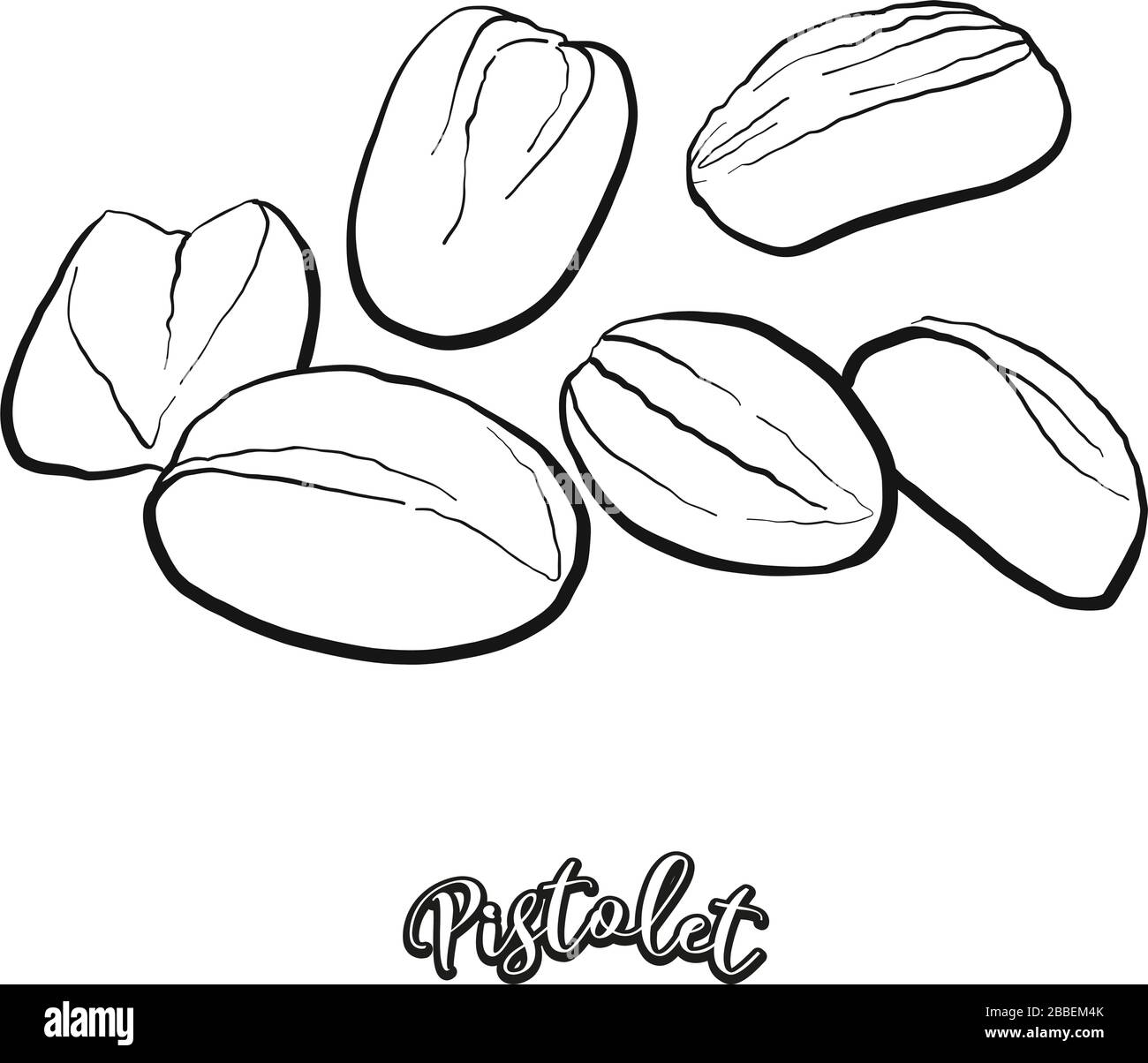 Esquisse de nourriture de Pistolet séparée sur blanc. Dessin vectoriel de levain, généralement connu en Belgique. Série d'illustrations alimentaires. Illustration de Vecteur
